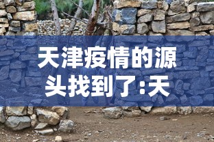 天津疫情的源头找到了:天津疫情怎么爆发的