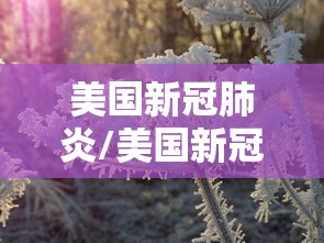 美国新冠肺炎/美国新冠肺炎确诊数超167万