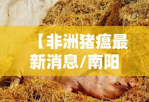 【非洲猪瘟最新消息/南阳非洲猪瘟最新消息】