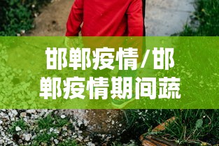 邯郸疫情/邯郸疫情期间蔬菜配送吗