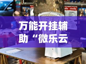 万能开挂辅助“微乐云南麻将开挂神器下载”(透视)辅助透视教程