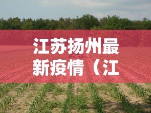 江苏扬州最新疫情（江苏扬州疫情最新2020今天）
