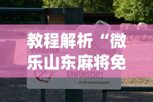 教程解析“微乐山东麻将免费挂”(详细透视教程)