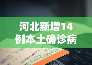 河北新增14例本土确诊病例/河北新增14例本土确诊病例分布