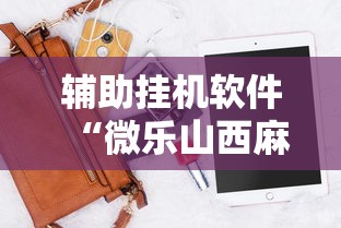辅助挂机软件“微乐山西麻将开挂后特征”开挂科技辅助神器手机