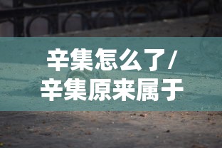 辛集怎么了/辛集原来属于哪个市