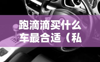 跑滴滴买什么车最合适（私家车干点什么挣钱）