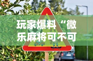 玩家爆料“微乐麻将可不可以开挂	”详细开挂玩法
