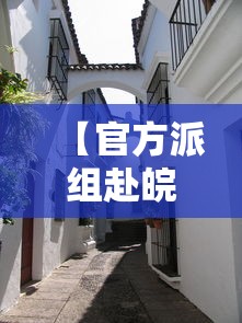 【官方派组赴皖北小城,皖北革命遗址】