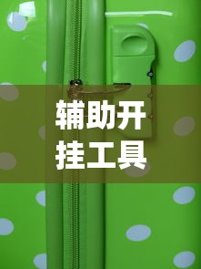 辅助开挂工具“微乐麻将怎么打才能赢	”开挂(透视)辅助教程