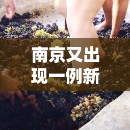 南京又出现一例新冠病毒（南京已有一例冠状病毒）