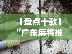 【盘点十款】“广东麻将推倒胡的技巧”(必备工具)辅助教学
