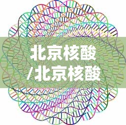 北京核酸/北京核酸检测价格降至197元