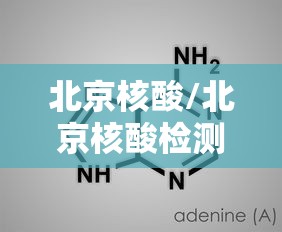 北京核酸/北京核酸检测价格降至197元