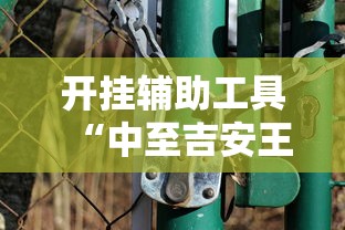 开挂辅助工具“中至吉安王炸辅助挂下载!详细开挂教程