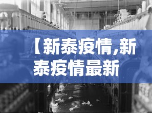 【新泰疫情,新泰疫情最新数据消息】