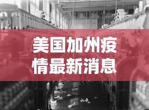 美国加州疫情最新消息:美国加州疫情最新消息数据 10号
