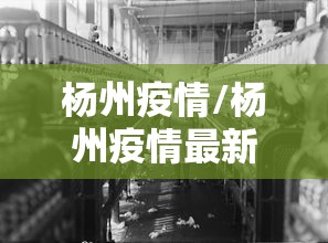杨州疫情/杨州疫情最新数据更新