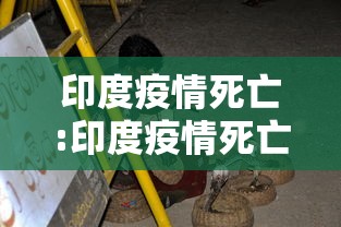 印度疫情死亡:印度疫情死亡病例