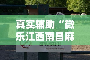真实辅助“微乐江西南昌麻将有挂吗”揭秘透视辅助万能挂