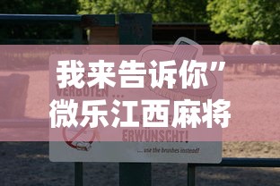 我来告诉你”微乐江西麻将怎样开挂”(详细透视教程)-