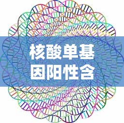 【给大家科普一下】“微乐斗地主怎么玩能赢”详细外挂安装步骤