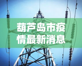 葫芦岛市疫情最新消息（葫芦岛市新型冠状病毒感染的肺炎疫情联防联控指挥部）