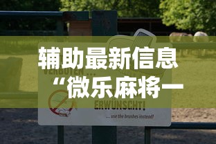 辅助最新信息“微乐麻将一直输钱怎么办”详细辅助透视