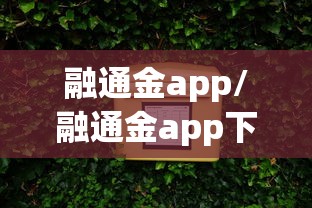 融通金app/融通金app下载官方免费安装