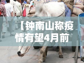 【钟南山称疫情有望4月前结束,钟南山谈疫情什么时候结束】