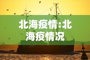 北海疫情:北海疫情况