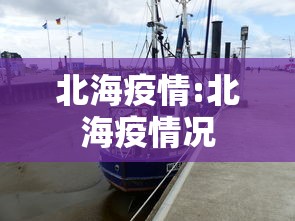 北海疫情:北海疫情况 北海疫情:北海疫情况