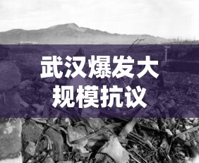 武汉爆发大规模抗议