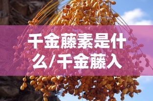 千金藤素是什么/千金藤入药