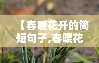 【春暖花开的简短句子,春暖花开走心句子】