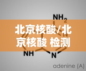 北京核酸/北京核酸 检测