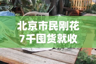 北京市民刚花7千囤货就收到保障包/北京市民刚花7千囤货就收到保障包是真的吗
