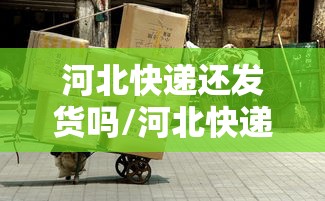 河北快递还发货吗/河北快递还发货吗最新消息 河北快递还发货吗/河北快递还发货吗最新消息