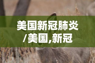 美国新冠肺炎/美国,新冠
