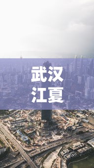 武汉江夏区疫情今天最新消息:武汉江夏区疫情报告