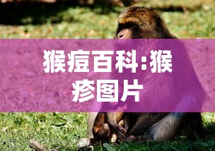 猴痘百科:猴疹图片