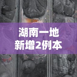 湖南一地新增2例本土无症状轨迹公布/湖南新增1例确诊 2例无症状