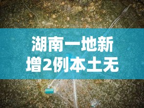 湖南一地新增2例本土无症状轨迹公布/湖南新增1例确诊 2例无症状 湖南一地新增2例本土无症状轨迹公布/湖南新增1例确诊 2例无症状
