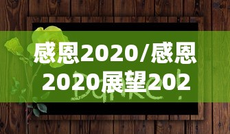 感恩2020/感恩2020展望2021朋友圈句子