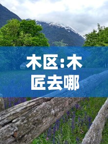 木区:木匠去哪里找