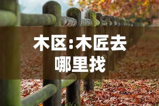 木区:木匠去哪里找 木区:木匠去哪里找
