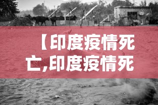 【印度疫情死亡,印度疫情死亡人数】