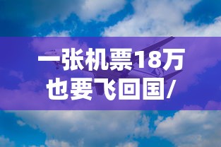 一张机票18万也要飞回国/一张国内飞机票多少钱