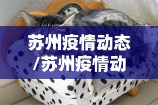 苏州疫情动态/苏州疫情动态最新消息