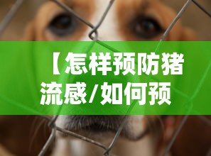 【怎样预防猪流感/如何预防猪流感 腾讯医典】